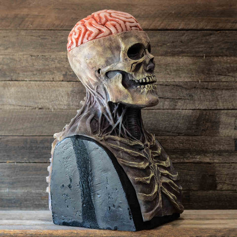Movable Jaw Full Head Skull Mask & Skeleton Halloween Costume