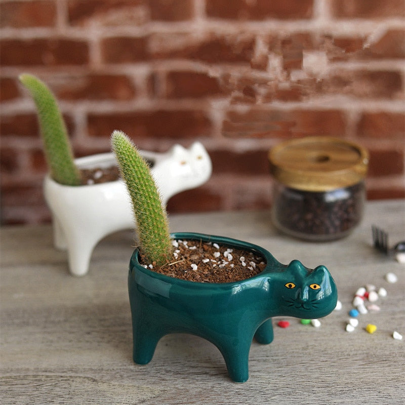 Cat Ceramic Pot