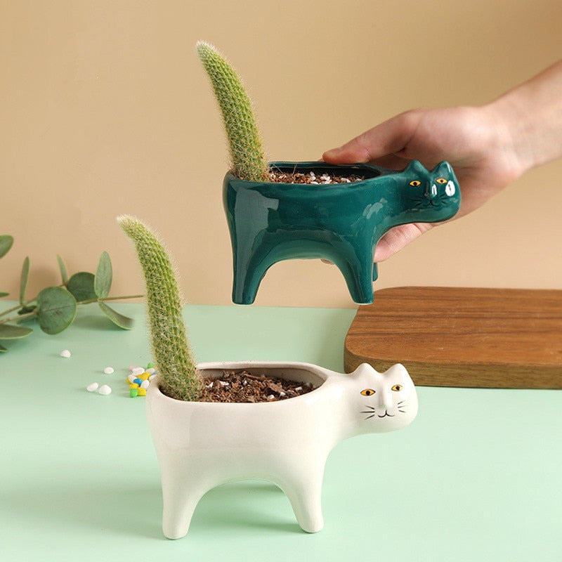 Cat Ceramic Pot