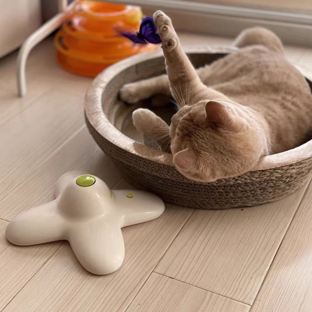 Interactive Flutter Bug Cat Toy 360