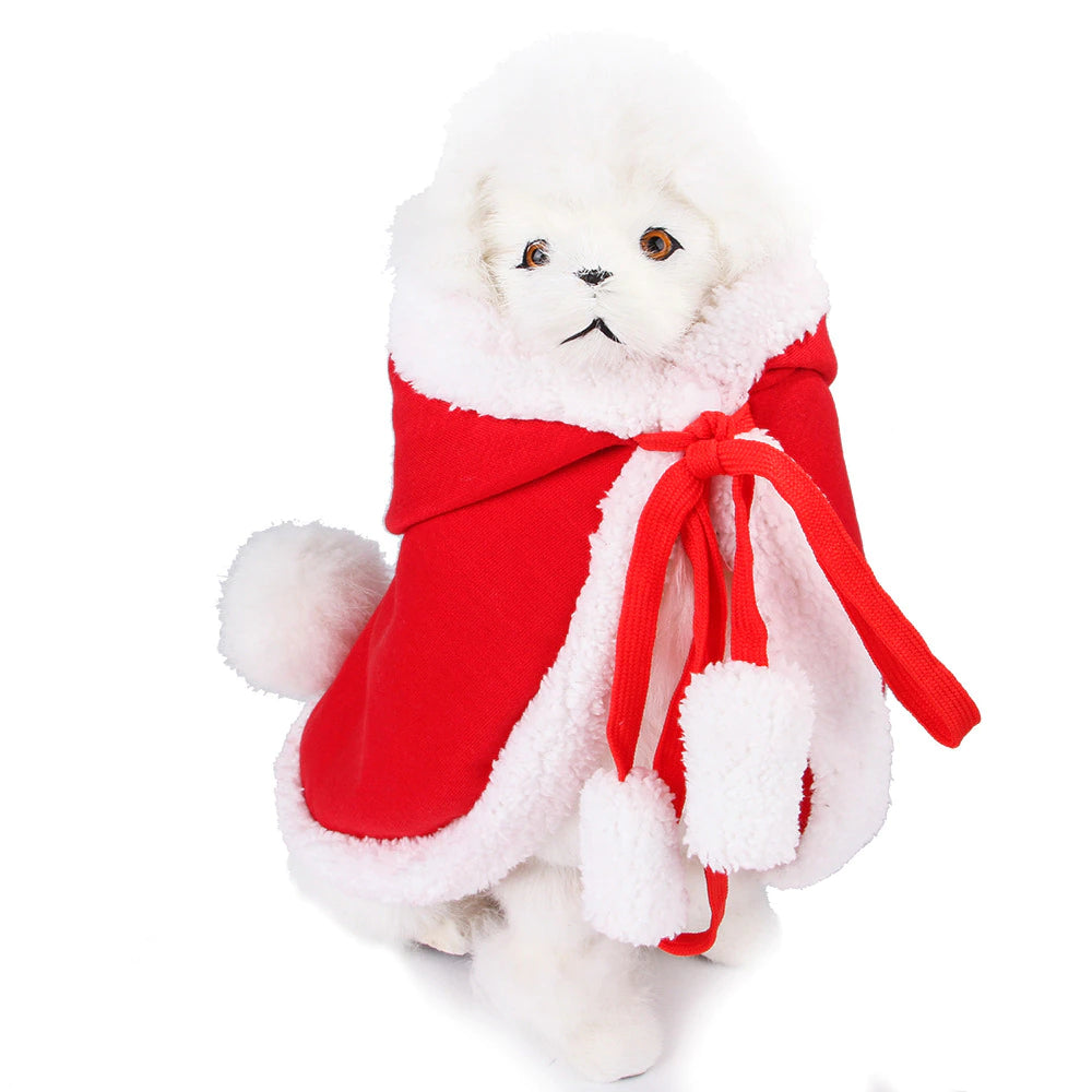 Cat Costume Santa Cosplay