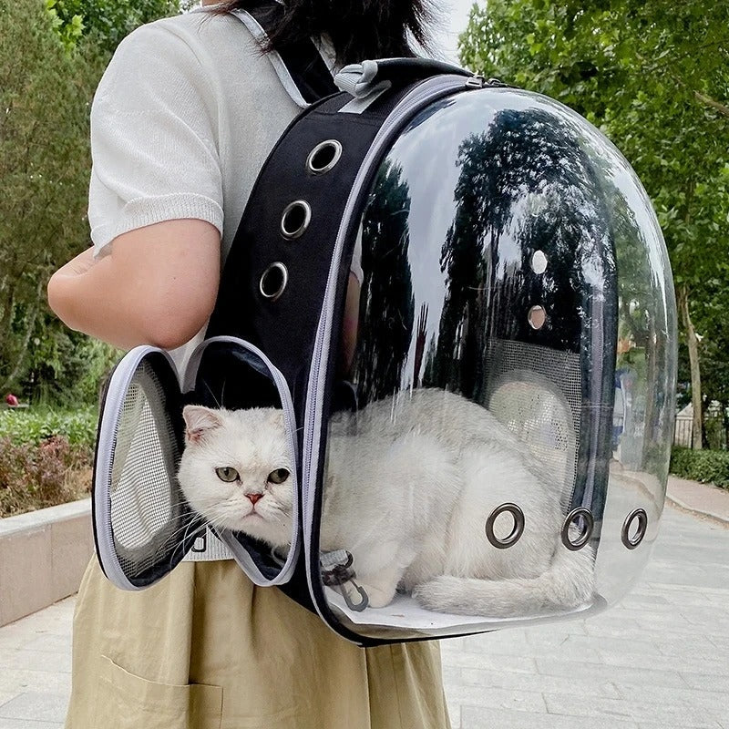 Pet Cat Carrying Bag Space