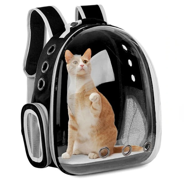 Pet Cat Carrying Bag Space