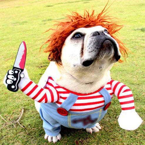 Deadly Doll Pet Cosplay