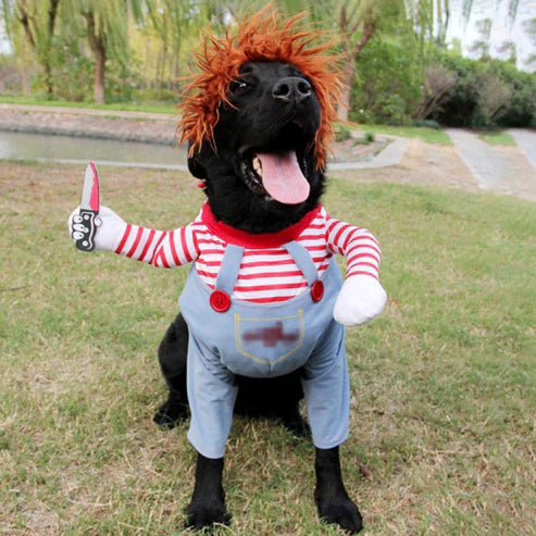 Deadly Doll Pet Cosplay