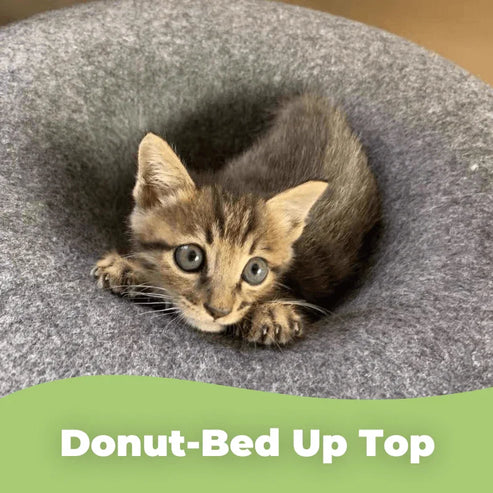 Donut Cat Bed Pet Cat Tunnel