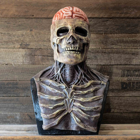 Movable Jaw Full Head Skull Mask & Skeleton Halloween Costume