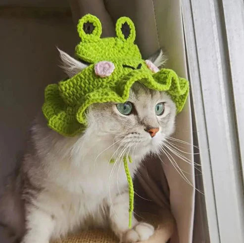 Wool Pet Hat