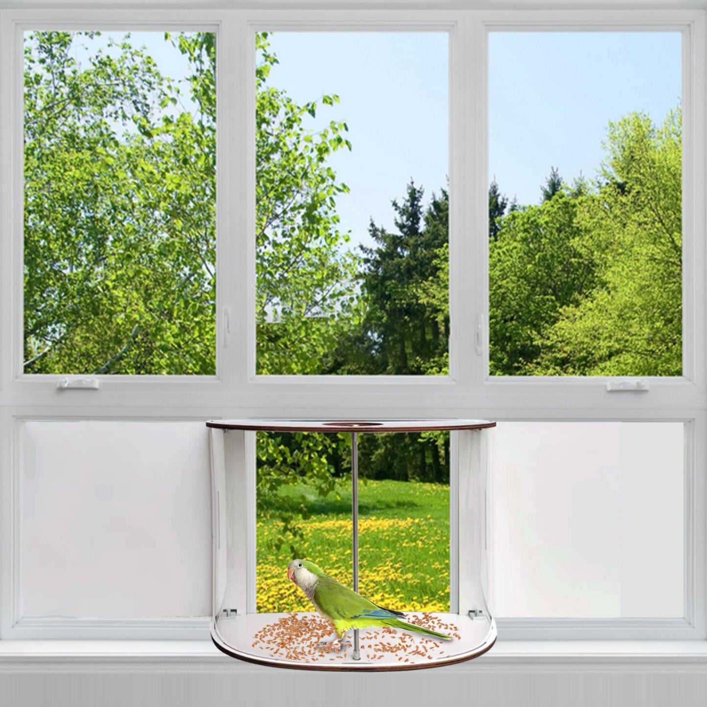 Window Bird Feeder Inside House 180° Clear View