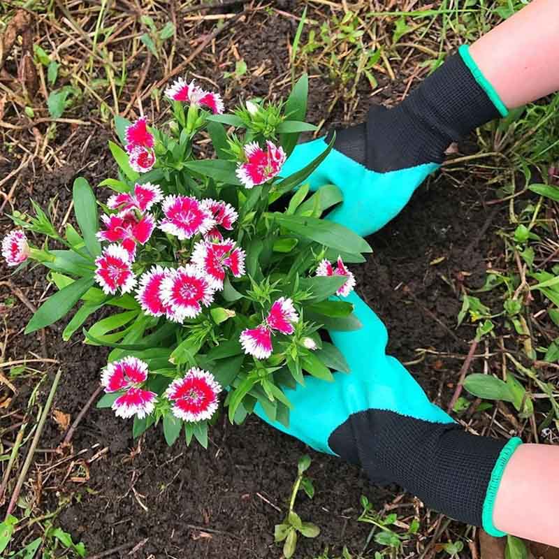 Garden gloves