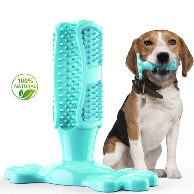 Dogs Toothbrush Squeaky Chew Toy