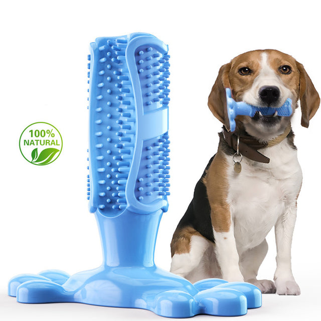 Dogs Toothbrush Squeaky Chew Toy