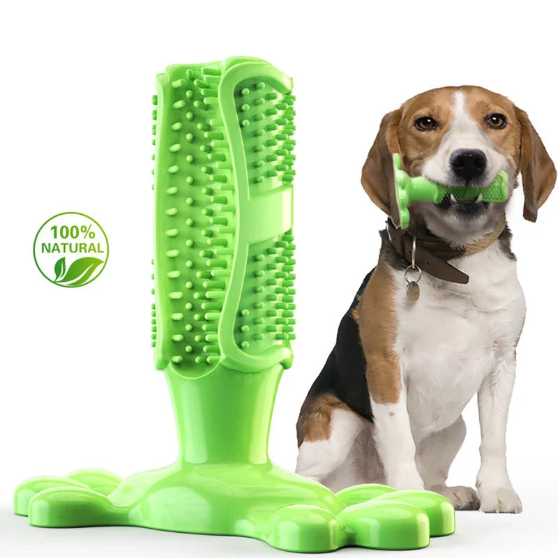 Dogs Toothbrush Squeaky Chew Toy