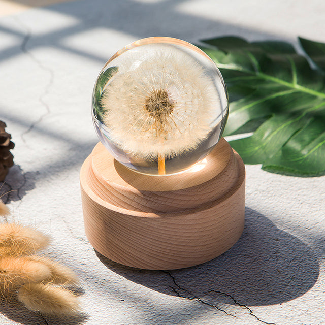 Dandelion Flower Crystal Glass Resin Ball