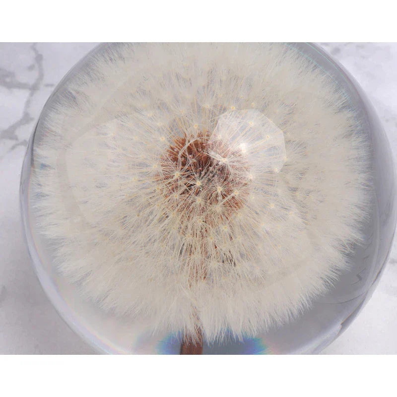 Dandelion Flower Crystal Glass Resin Ball