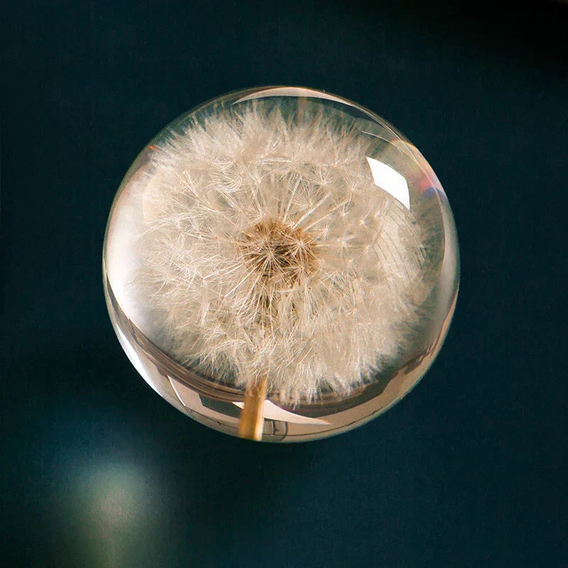 Dandelion Flower Crystal Glass Resin Ball