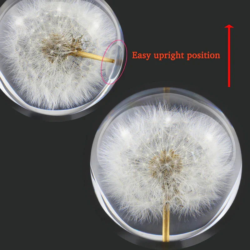 Dandelion Flower Crystal Glass Resin Ball