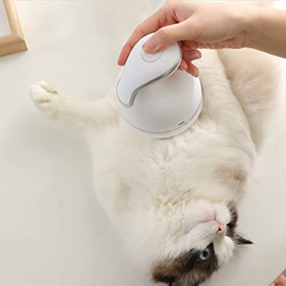 Electric Cat Head Massager