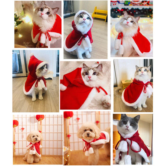 Cat Costume Santa Cosplay