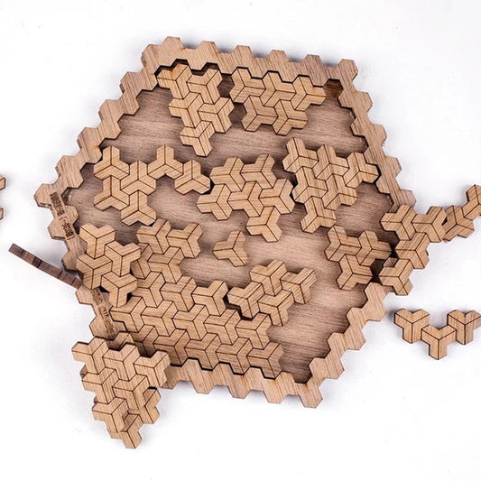 3D Brain-teaser Wooden Puzzles