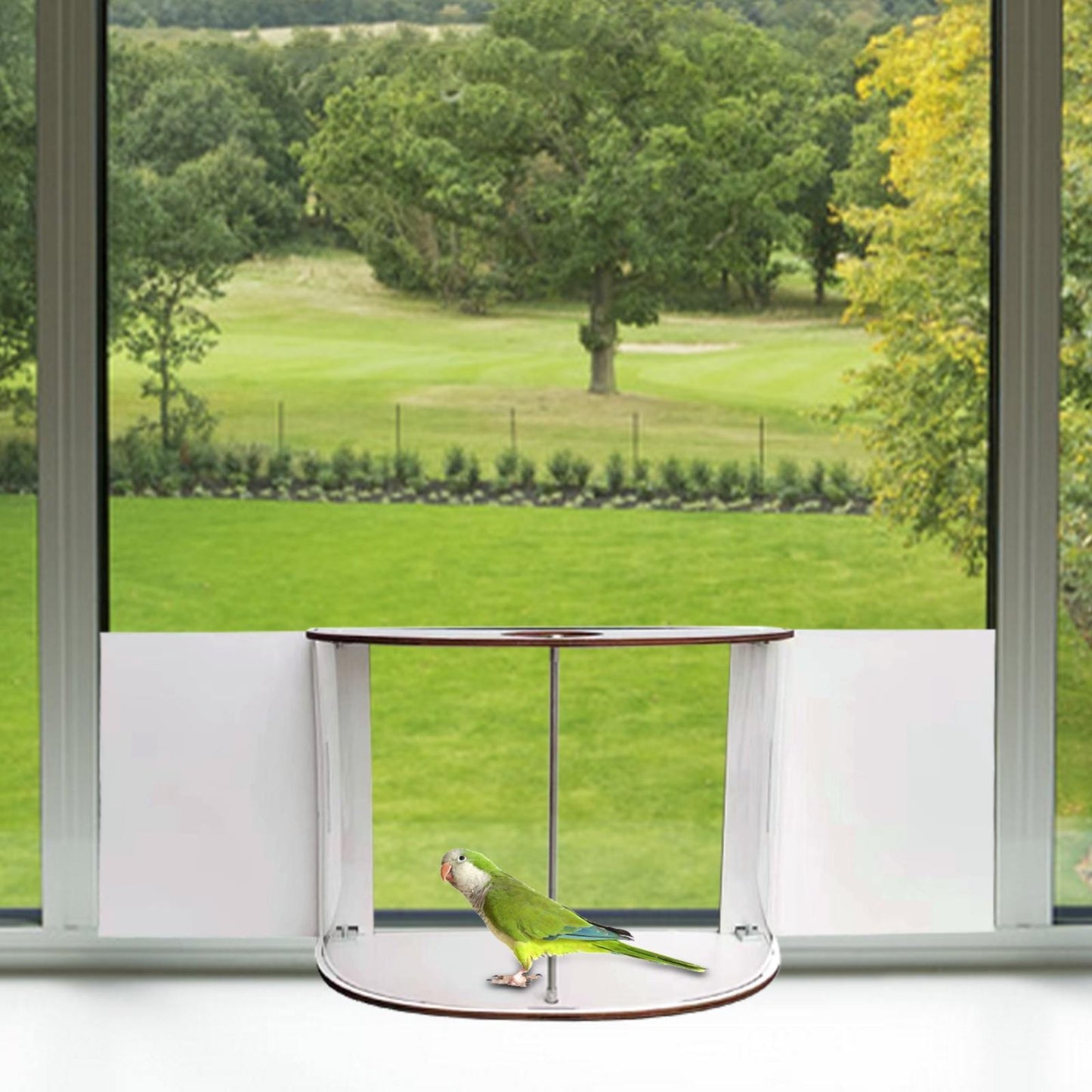 Window Bird Feeder Inside House 180° Clear View